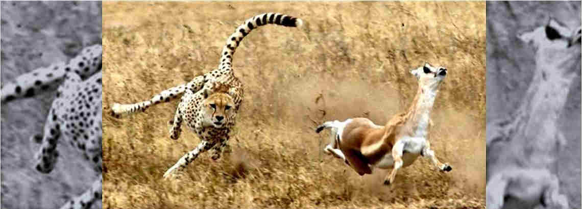 Cuento Metáfora – Erase una vez una forma