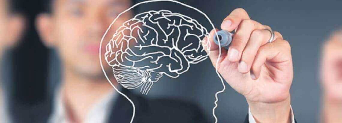 Educación, Neurociencias y PNL – Programa 20/10/2014