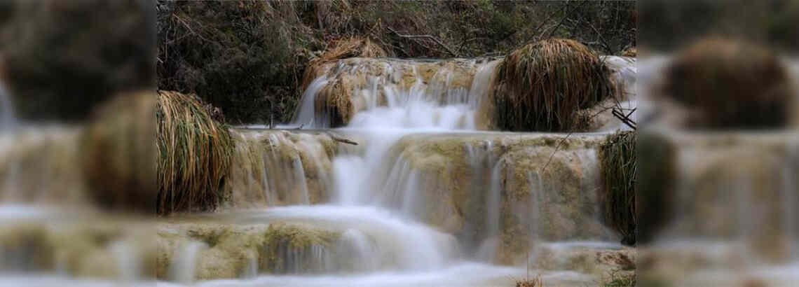 Metáfora del ser en las organizaciones. El Efecto Cascada como parte del proceso educativo en las empresas. Revisión de 1 caso de Coaching Teleológico – Angélica Mera Garrigó