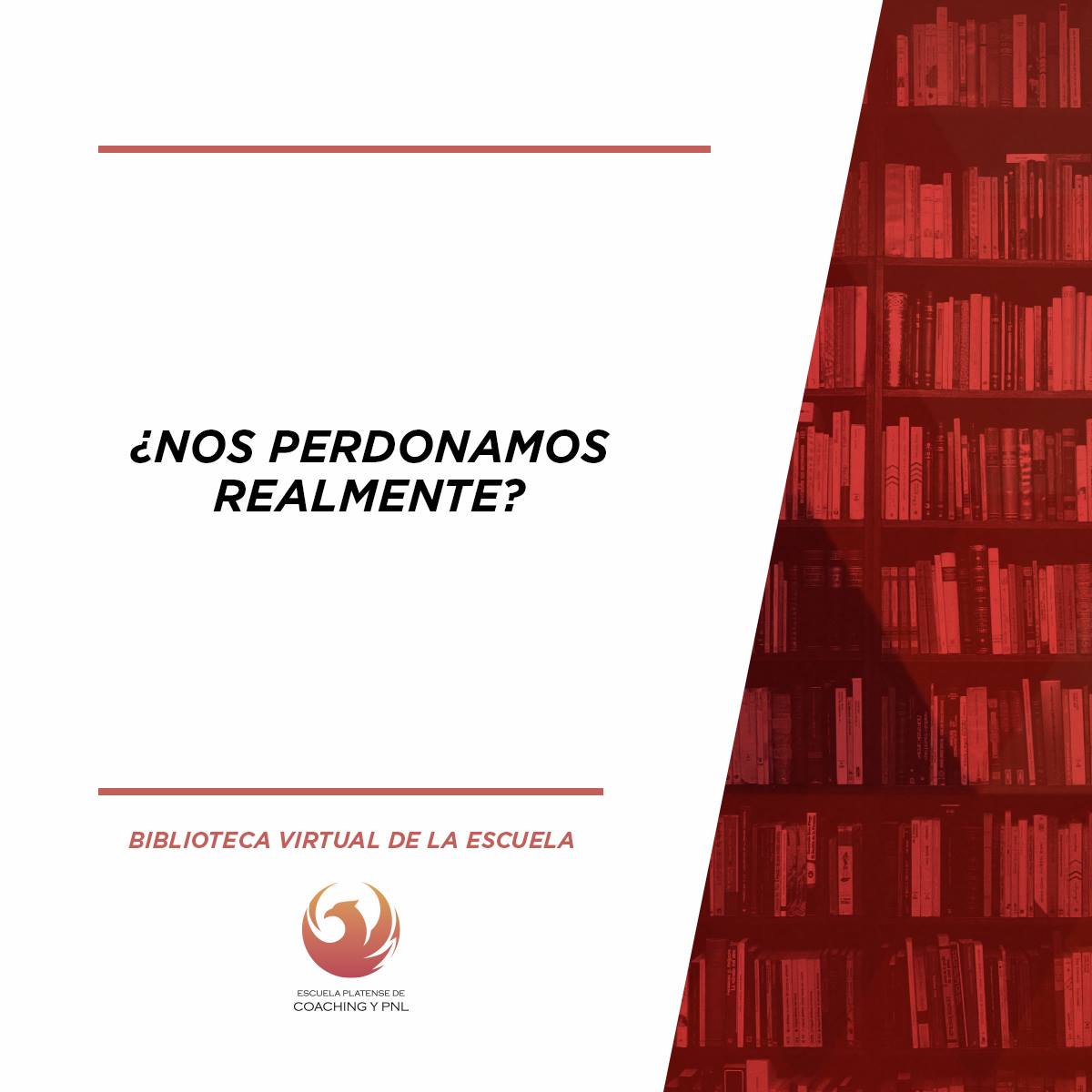 Perdón una declaración – ¿Nos perdonamos realmente?