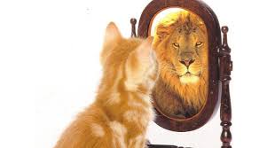 ¿ Victima o protagonista?