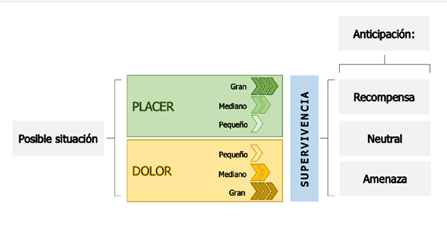 Neurobiología de acercarse al placer y alejarse del dolor