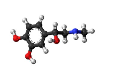 ¿Sabés que es la adrenalina?