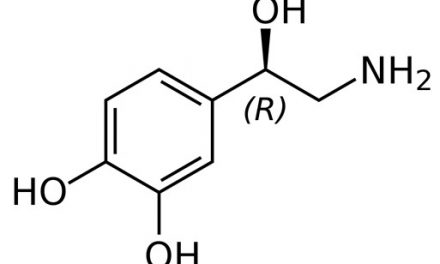 ¿Conoces los efectos de la noradrenalina?