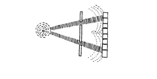 El quantum para explicar mente de campo