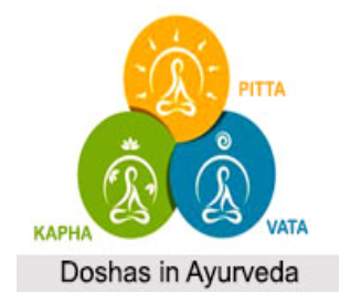 Prakruti y sistemas representacionales