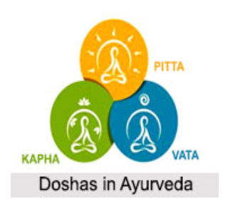 Prakruti y sistemas representacionales