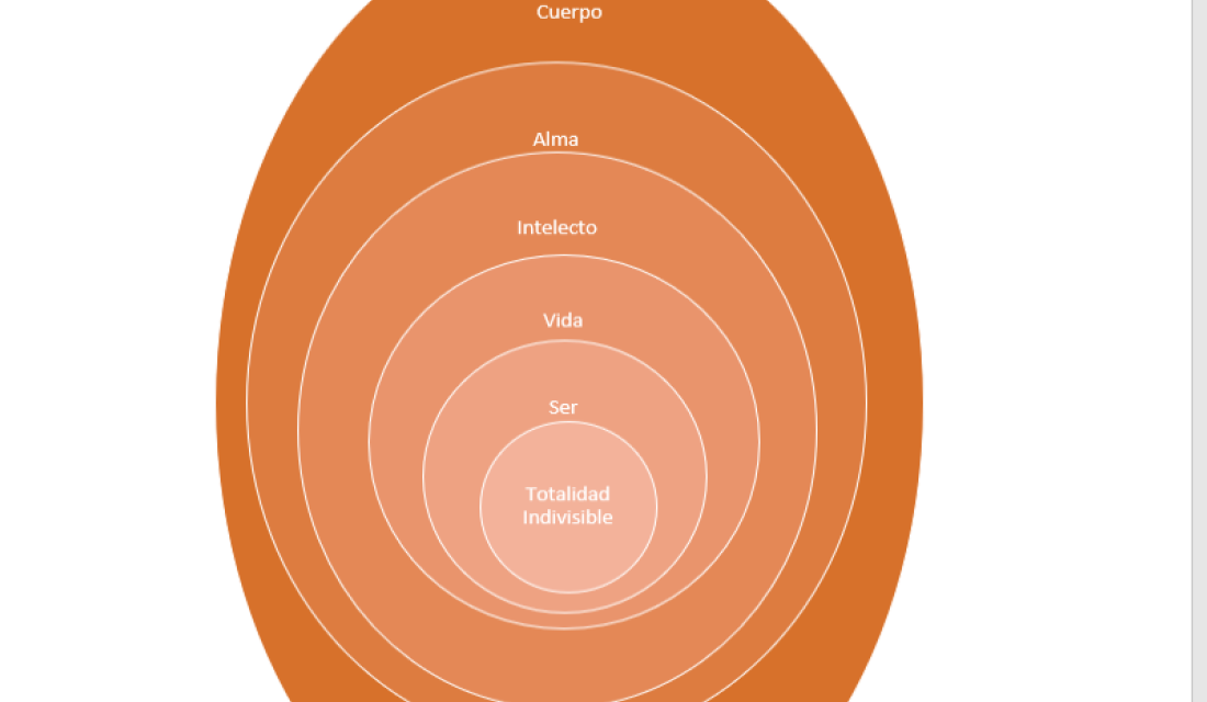 ¿Sabes de que se tratan los  niveles de existencia?
