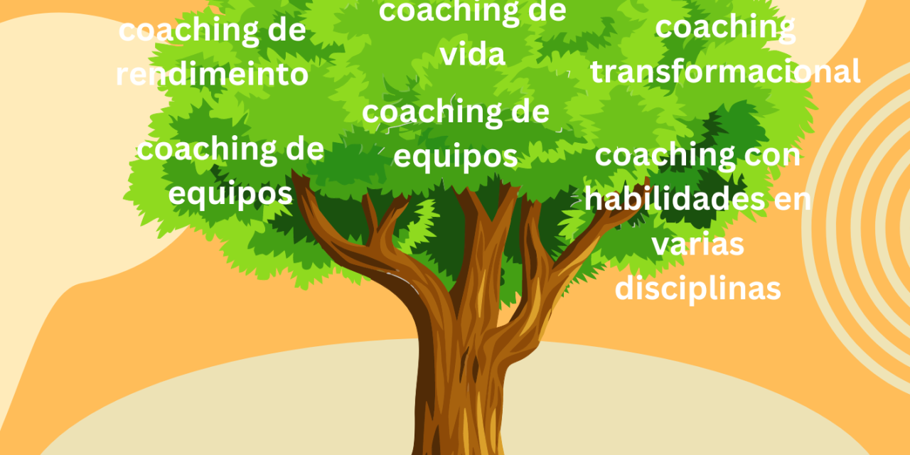 Campos de estudio del Coaching
