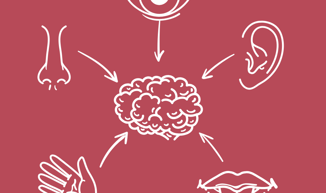 Modalidad Sensorial: Cómo Transformar la Comunicación